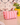POUCHES