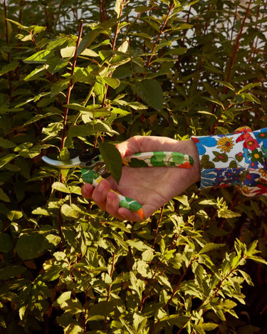 Kip & Co : Secateurs and Gloves Set - Nasturtium Garden